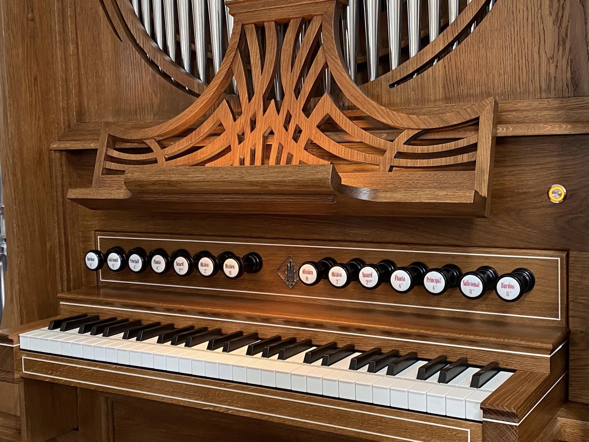 foto organ 1