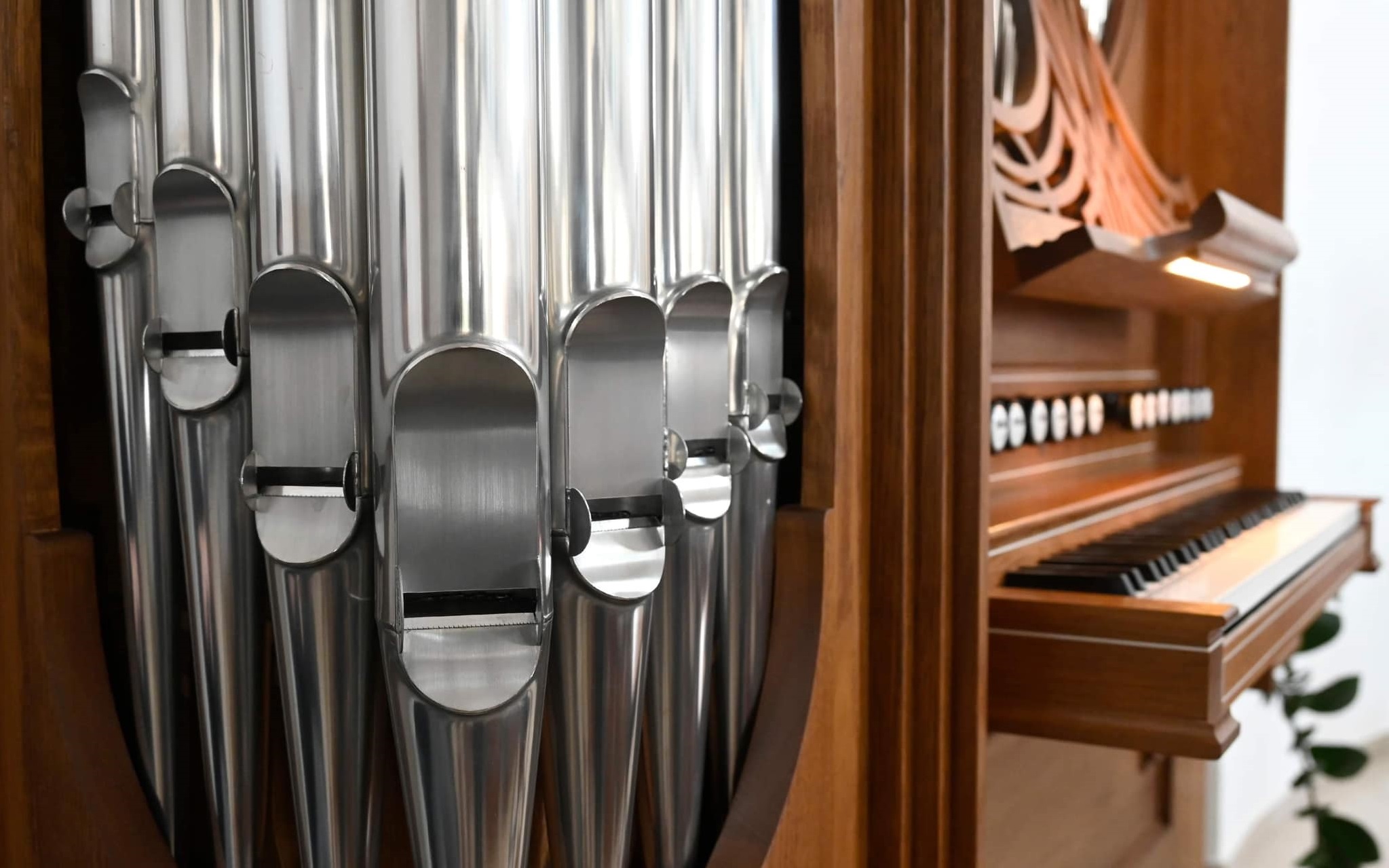 foto organ 3